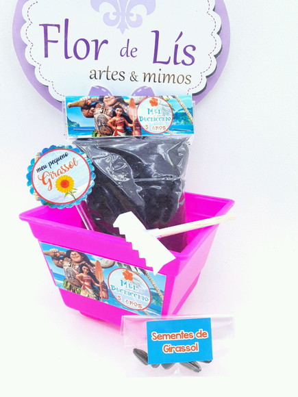 Imagem 4