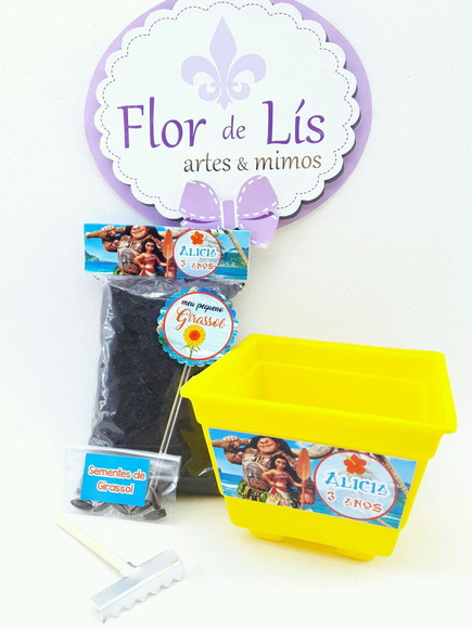 Imagem 4