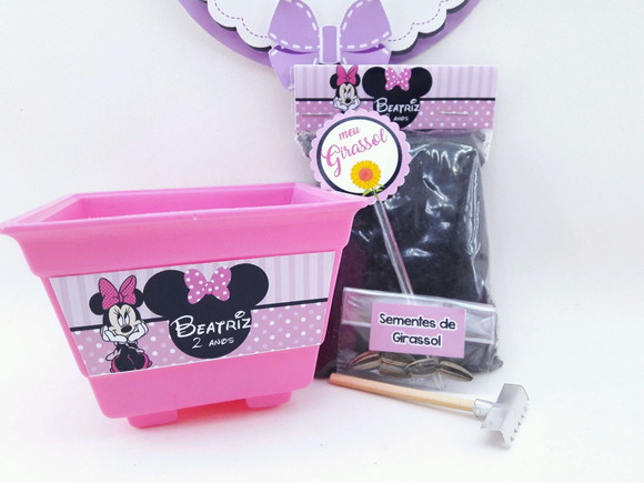 Kit Plantação Jardim Minnie Rosa