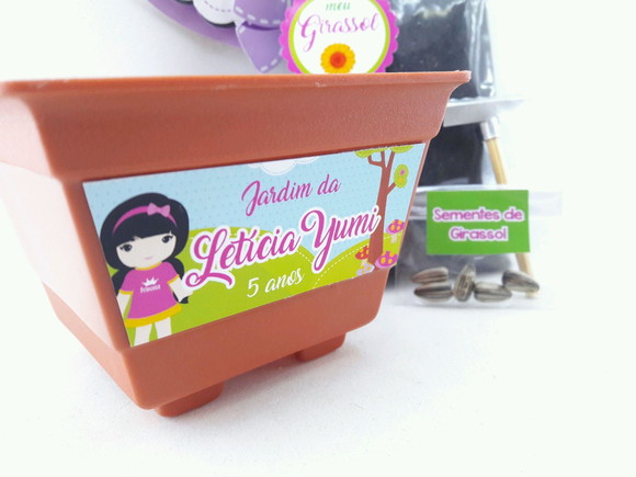 Imagem 2
