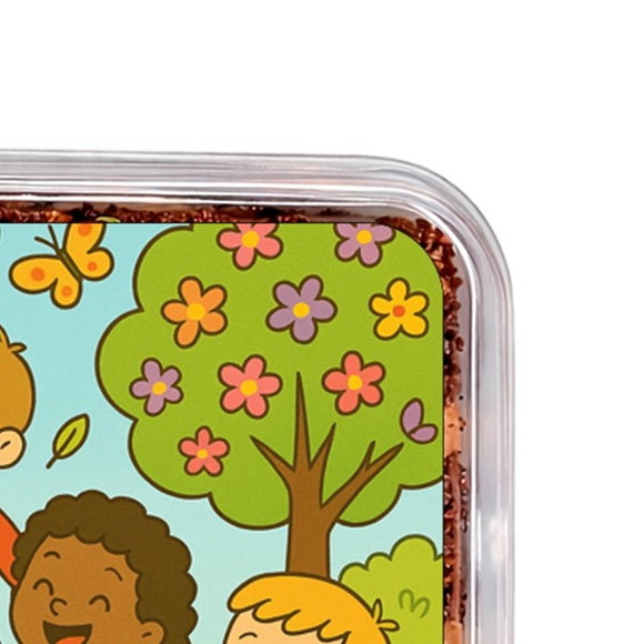 Embalagem Bolo Docinhos Personalizada Primavera Divertida - Imagem 3