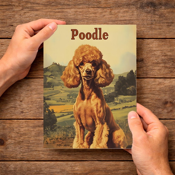Placa Decorativa Raças Cachorro Vintage Poodle - Imagem 4