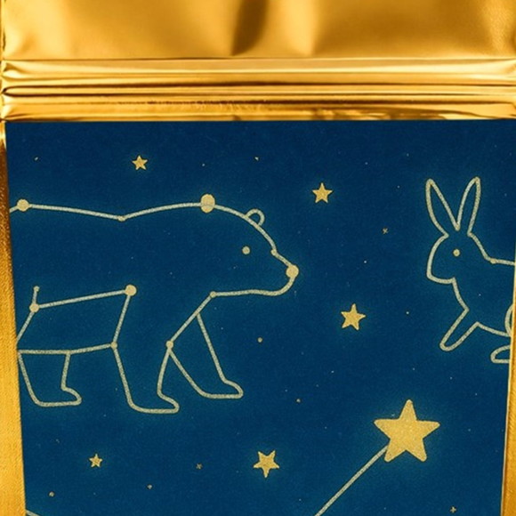Saco Festa Metalizado Dourado 13x20 Constelações - Imagem 4