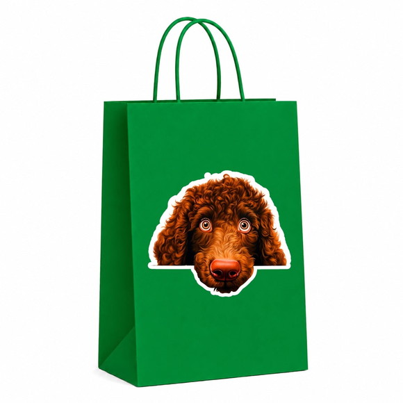 Sacola Papel Festa Raça Cachorro Spaniel de Água Irlandês - Imagem 4