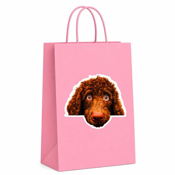 Sacola Papel Festa Raça Cachorro Spaniel de Água Irlandês - Imagem 5