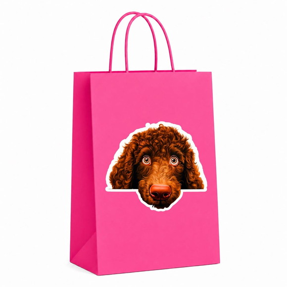 Sacola Papel Festa Raça Cachorro Spaniel de Água Irlandês - Imagem 2