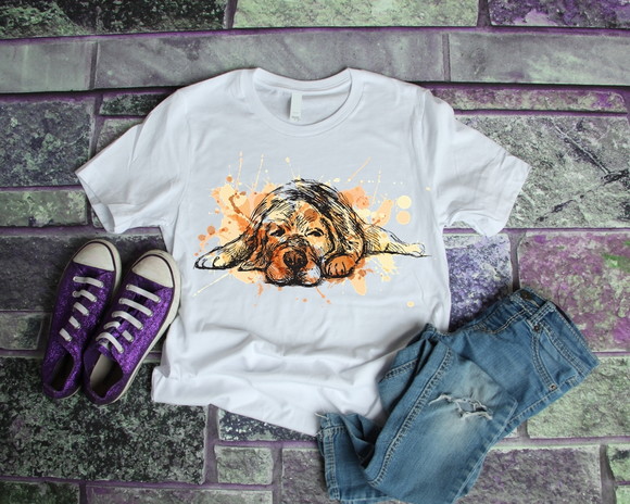 Camiseta Labrador