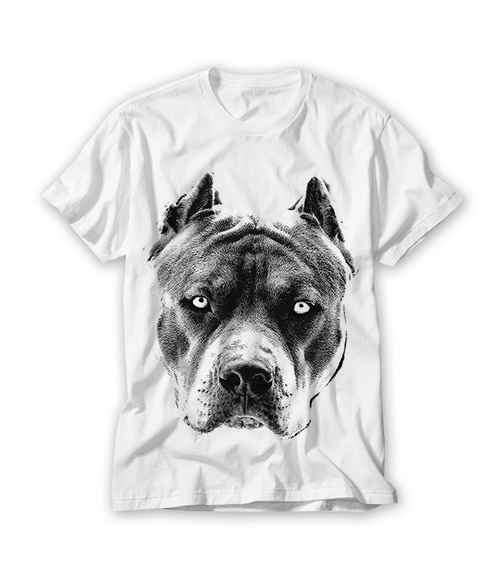 Camiseta Pitbull