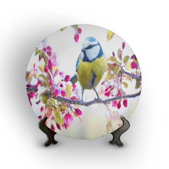 Prato Porcelana Decorativo Pássaro