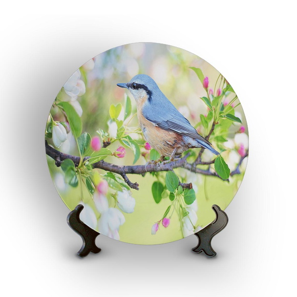 Prato Porcelana Decorativo Pássaro