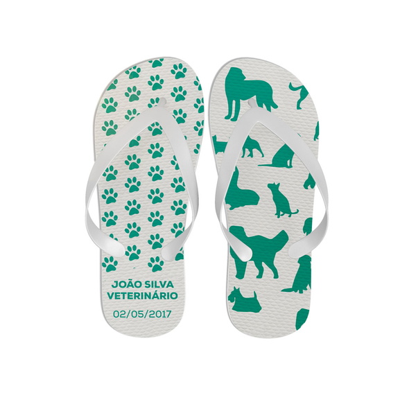 Chinelo Medicina Veterinária
