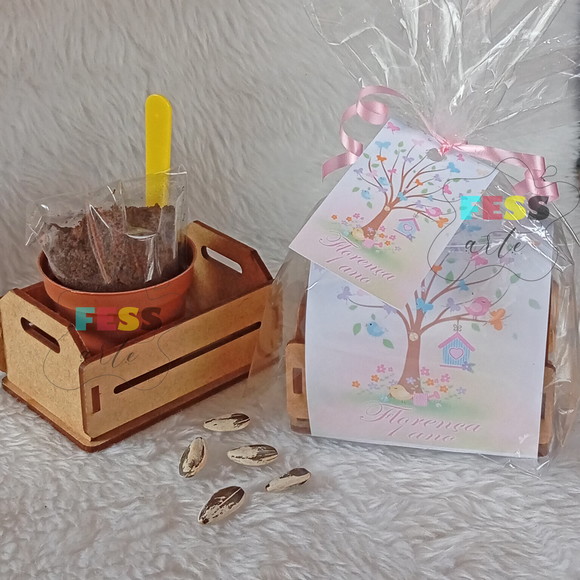 Lembrancinha Jardim Encantado Kit Jardinagem Fazendinha Eco