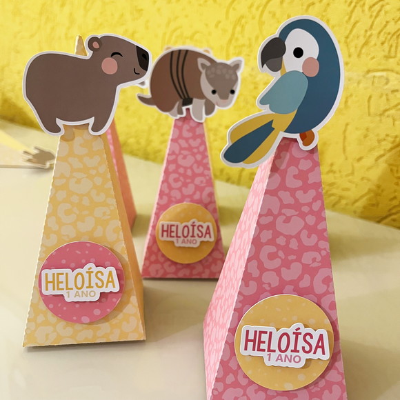 Caixa Pirâmide Aniversário Fauna Brasileira - Imagem 3