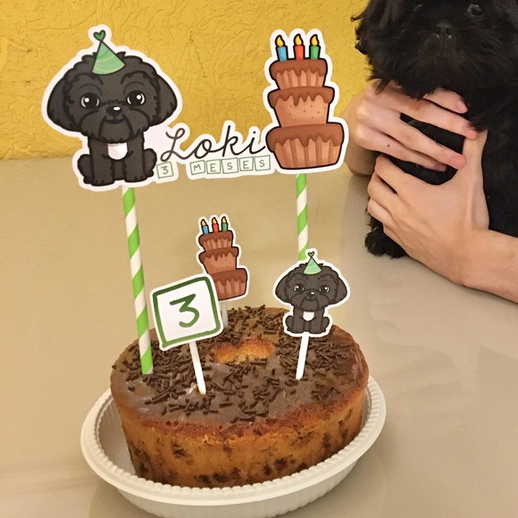 Topo Bolo Shih-tzu Preto - Imagem 5