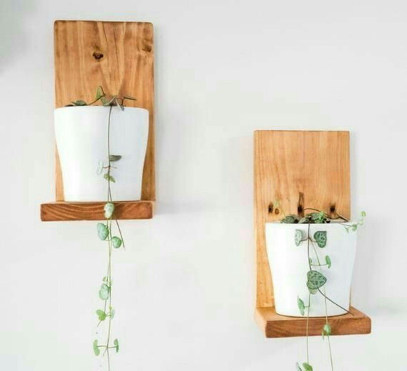 Kit Prateleiras Planta - Imagem 2
