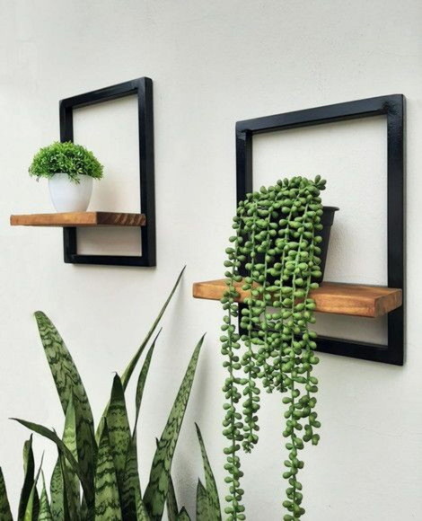 Kit Suporte de Plantas Quadro - Imagem 2
