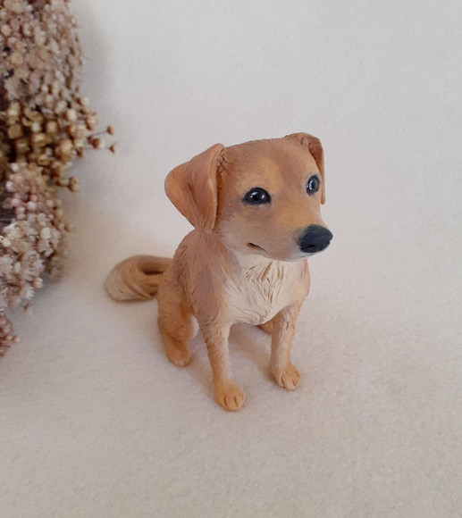 Aplique Pet Personalizado