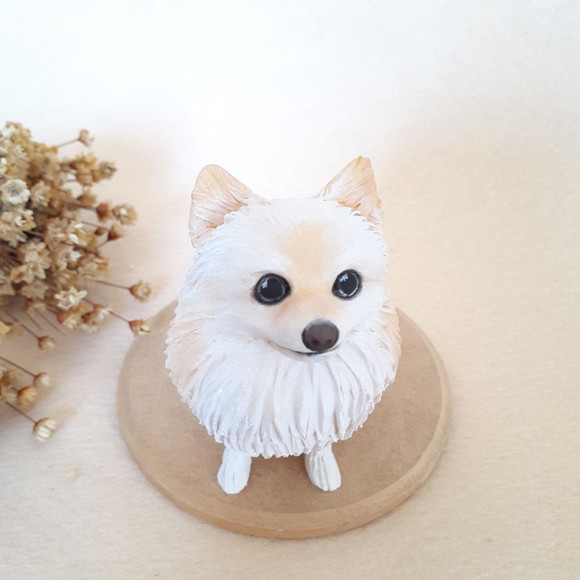 Cachorro em miniatura - Imagem 2