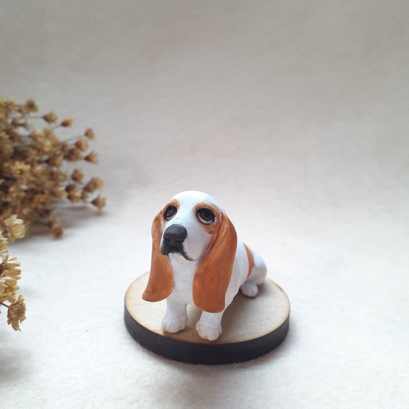 Cachorro em miniatura - Imagem 2