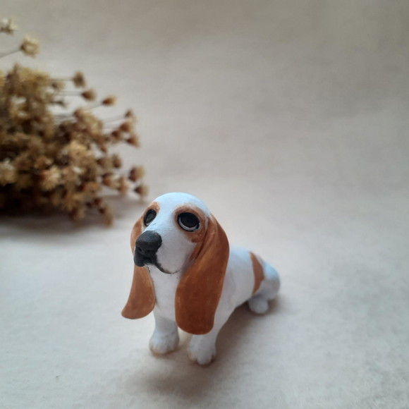 Cachorro em miniatura - Imagem 4