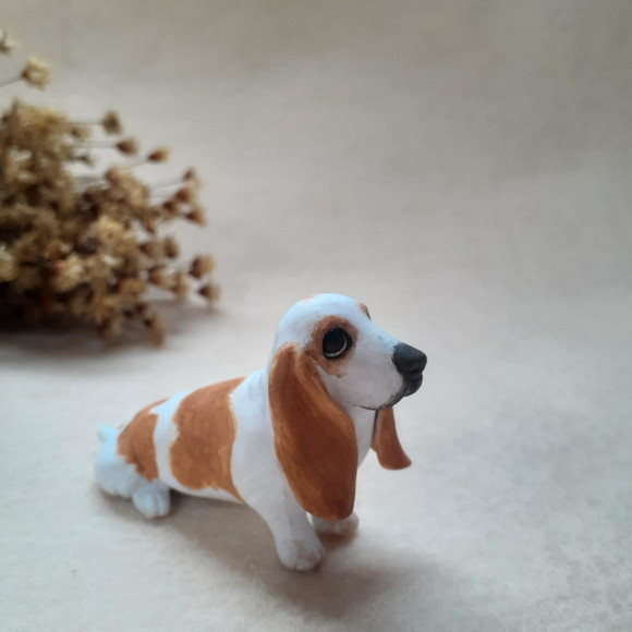 Cachorro em miniatura - Imagem 3