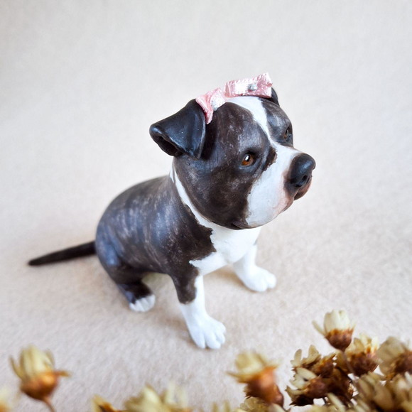 Cachorro em Miniatura para Casamento - Imagem 2