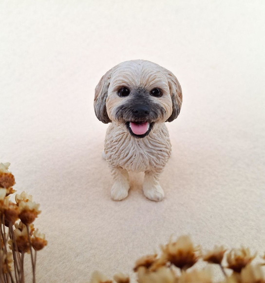 Cachorro em Miniatura para Casamento - Imagem 3