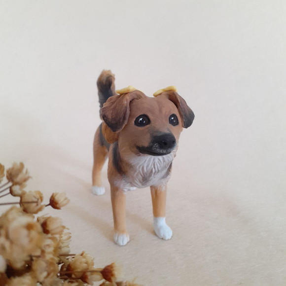 Cachorro em Miniatura para Casamento - Imagem 2