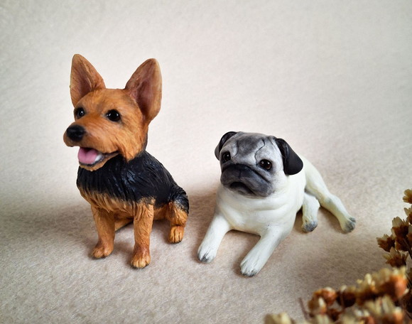 Casal de Pets Miniatura para Casamento