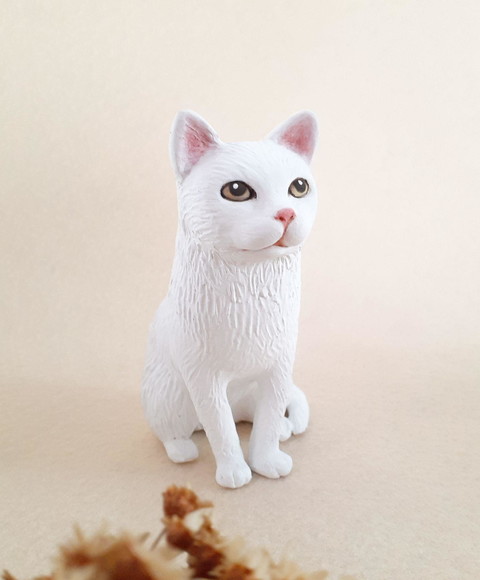 Gatinho em Miniatura