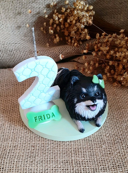 Miniatura de Cachorro Spitz Alemão - Imagem 2