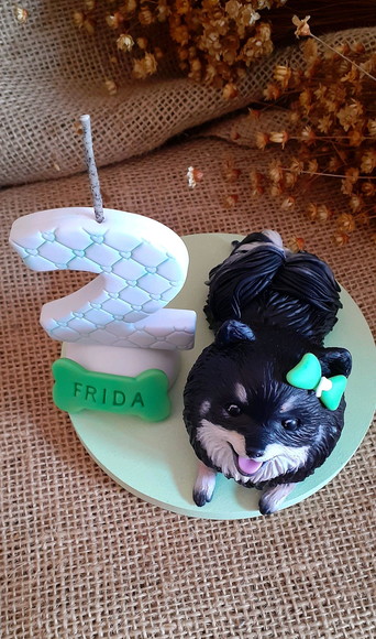 Miniatura de Cachorro Spitz Alemão - Imagem 3