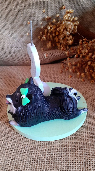 Miniatura de Cachorro Spitz Alemão - Imagem 4