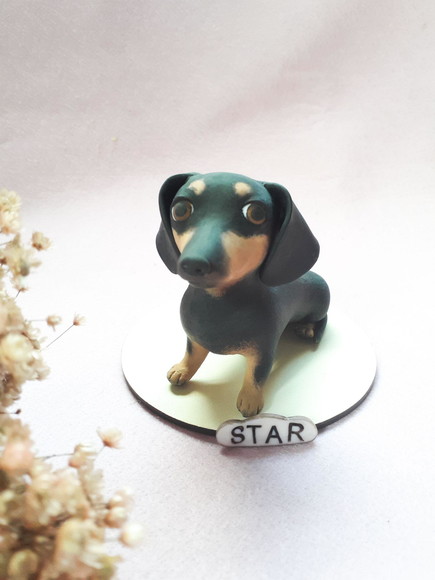 Miniatura pet personalizada - Imagem 2