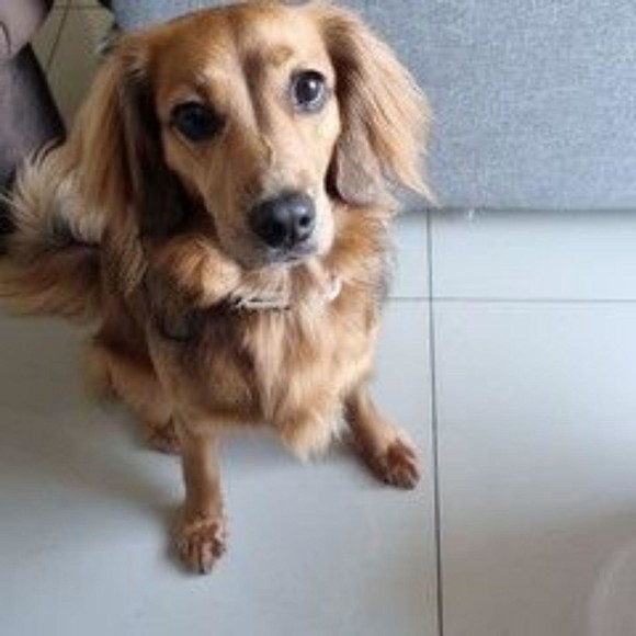 Imagem 4
