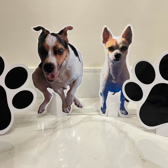 Display de Mesa Pet