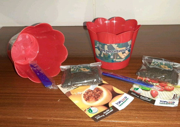 Kit Jardinagem - Imagem 2