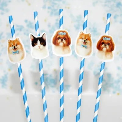 Canudo de Papel com Foto Carinha de Festa Pet