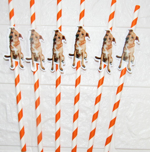 Canudo de Papel com Foto Carinha de Festa Pet