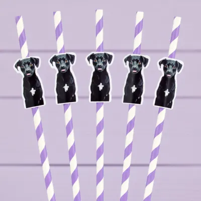 Canudo de Papel com Foto Carinha de Festa Pet