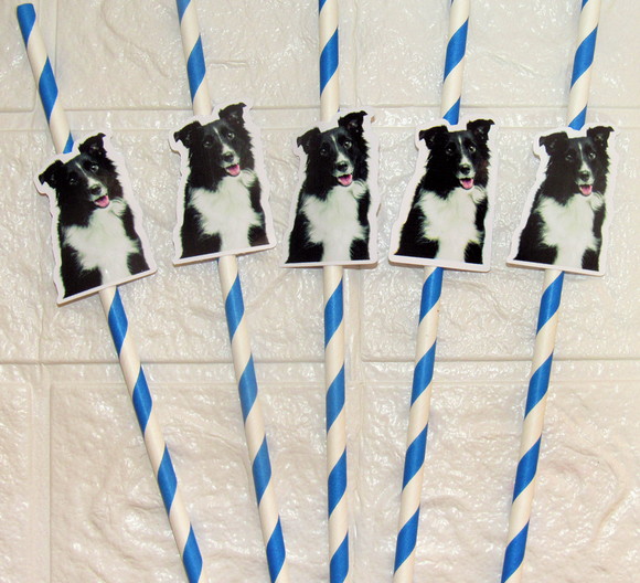Canudo de Papel com Foto Carinha de Festa Pet