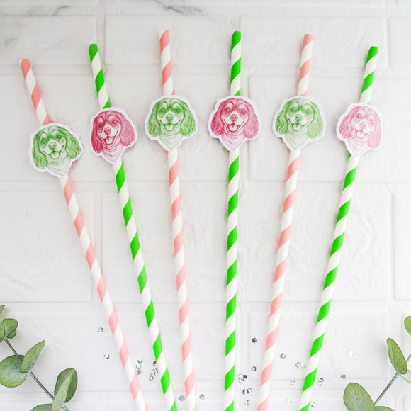 Canudo de Papel com Foto Carinha de Festa Pet - Imagem 2