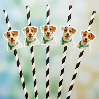 Canudo de Papel com Foto Carinha de Festa Pet