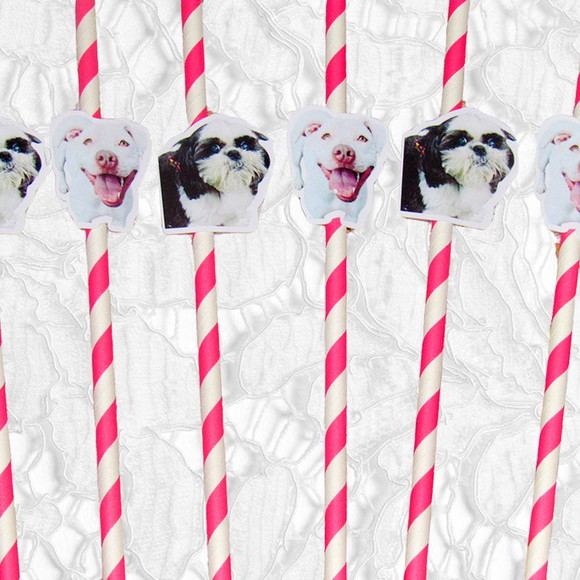 Canudo de Papel com Foto Carinha de Festa Pet