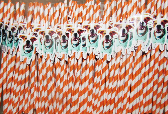 Canudo de Papel Personalizado Cachorrinho - Imagem 2
