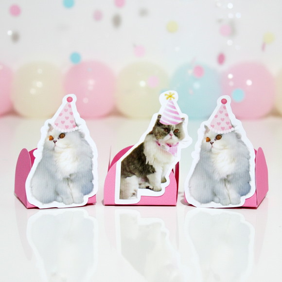Forminha Carinha de Festa Pet Gatinha - Imagem 2
