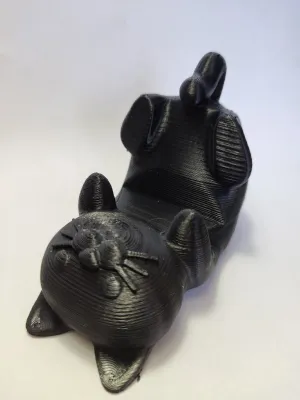 Gato deitado porta celular