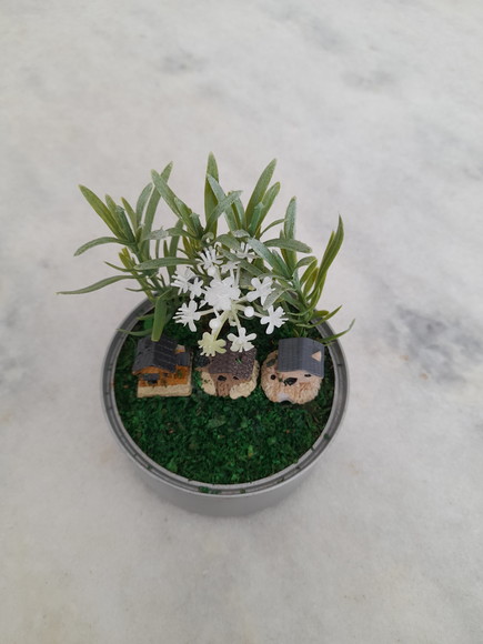 Mini Jardim Decorado com Casinha e Plantas Miniaturas