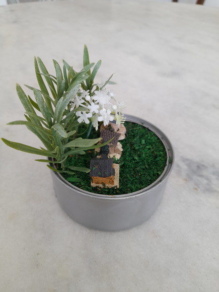 Mini Jardim Decorado com Casinha e Plantas Miniaturas - Imagem 4