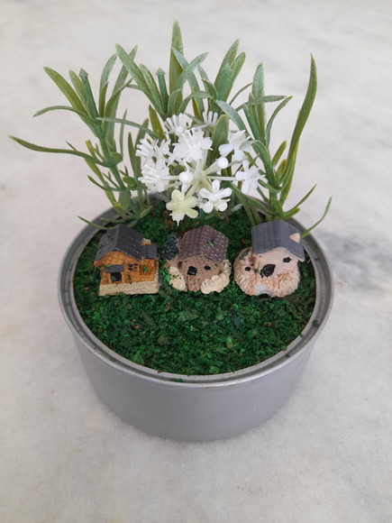 Mini Jardim Decorado com Casinha e Plantas Miniaturas - Imagem 3